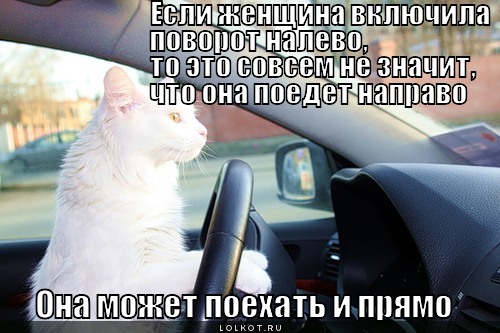 https://lolkot.ru/wp-content/uploads/2012/03/povorot-nalevo_1332513377.jpg