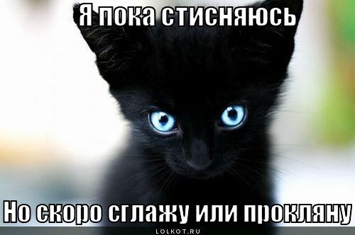 http://lolkot.ru/wp-content/uploads/2012/03/sglazhu-ili-proklyanu_1331728696.jpg