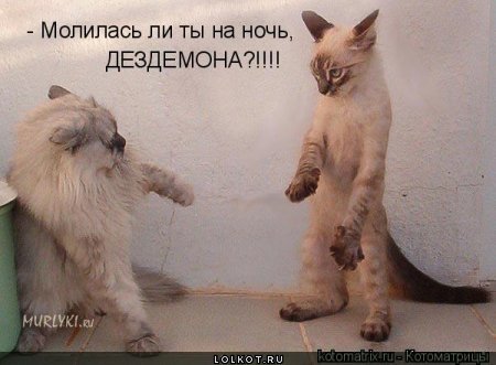 molilas-li-ty_1340007310.jpg