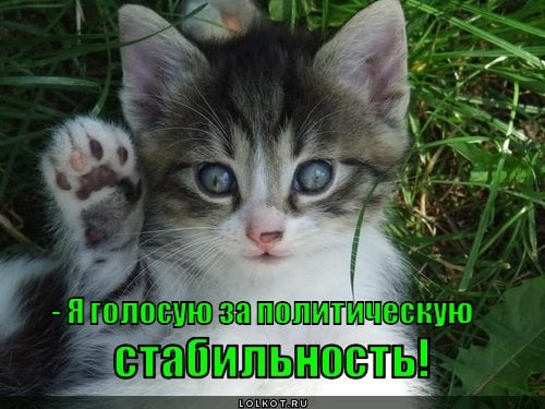 Для продолжения реформ в Украине необходима политическая стабильность, - Штайнмайер - Цензор.НЕТ 1154