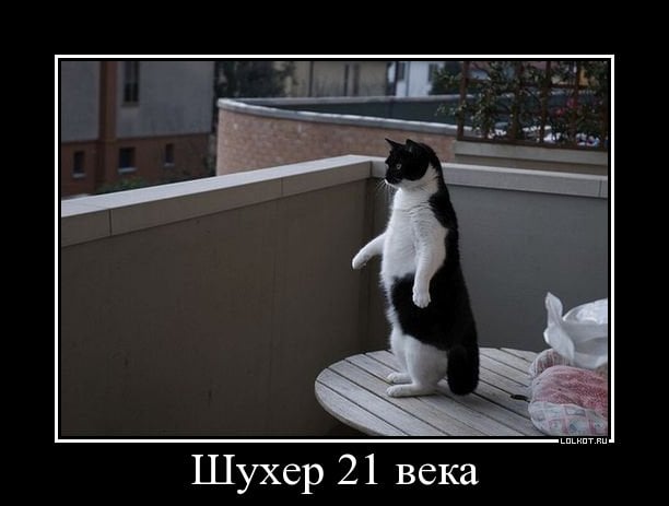 Шухер картинки прикольные
