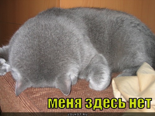 меня тут нет картинки онлайн меня тут нет картинки