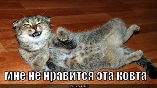 Ложись ко мне. Иди ко мне детка. Картинка ложись ко мне