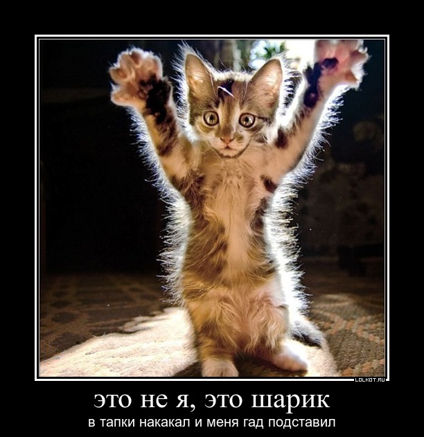 Открытка отпусти меня домой