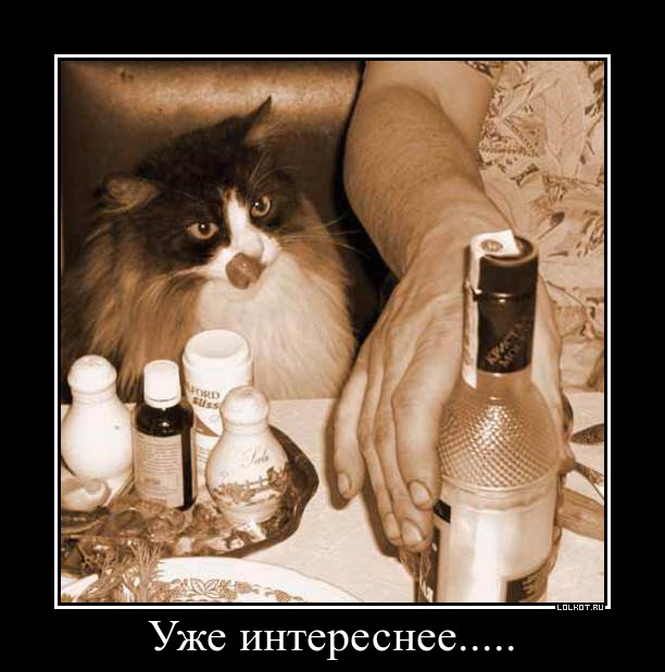 Сколько коты пьют в день. Кот напился валерьянки. Пьющий кот. Огромный бокал валерианкм.