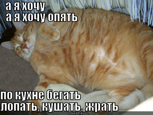 хочу жрать картинки онлайн хочу жрать картинки