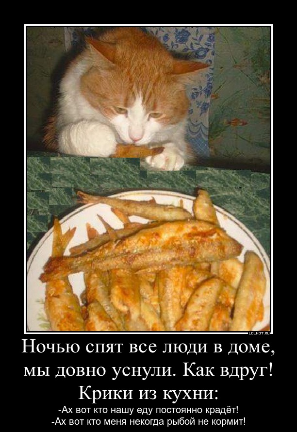 Прикольные картинки жарить рыбу, днем