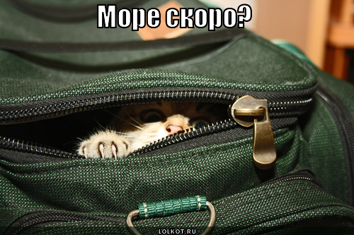 картинки скоро на море