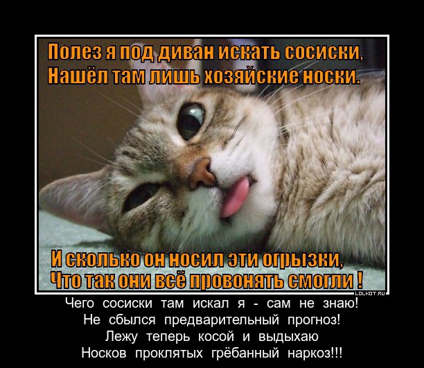 http://lolkot.ru/wp-content/uploads/2013/04/raskayalsya_1365063938.jpg