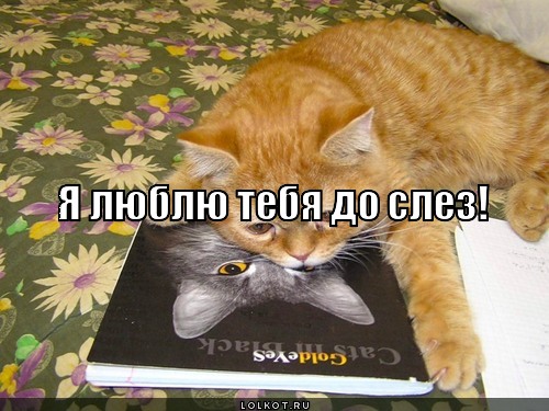 я люблю тебя до слёз картинка