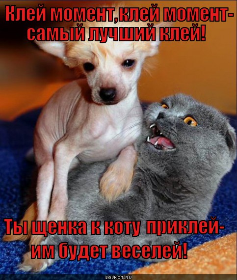 ������ �� ������� �������� � ��������� ��