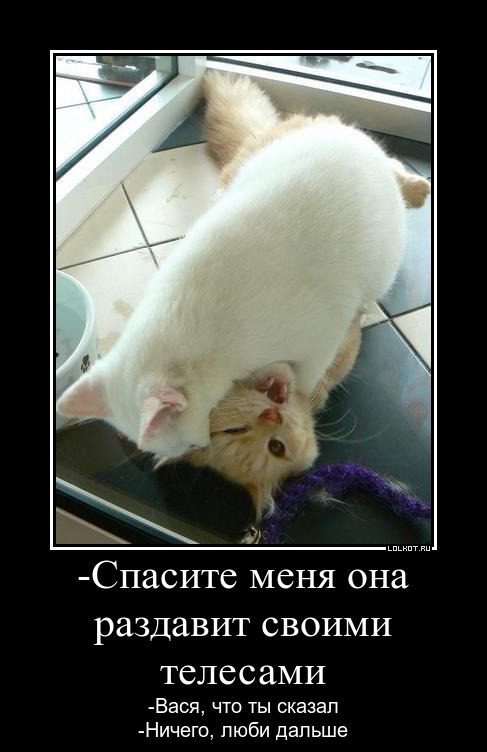 Новый год, приколы картинки супружеский долг