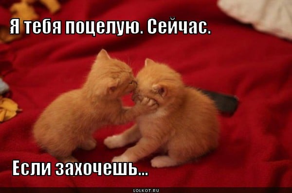 Поцелуй поцелуй меня. Дайте я вас сейчас расцелую. Открытка целую и обнимаю мужчине. Поцелуй картинки прикольные с надписями. Поцелуй меня везде.