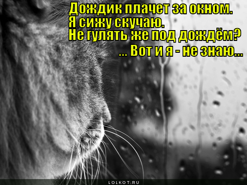 Сижу скучаю. Дождик плачет за окном. Дождь скучаю. Скучаю под дождём. Я скучаю дождь.