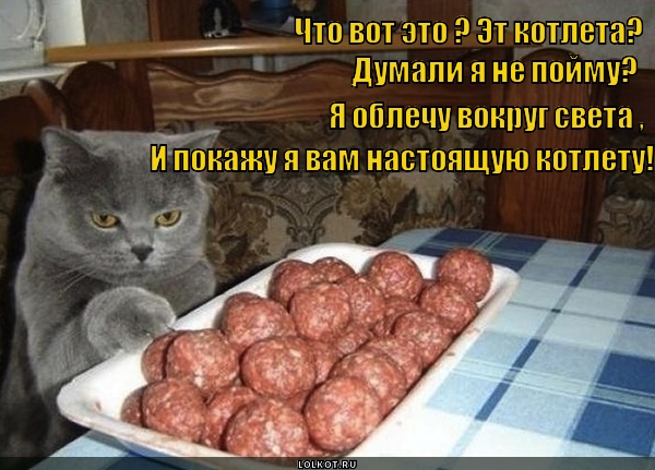 Смешная картинка про котлеты, днем мчс беларуси