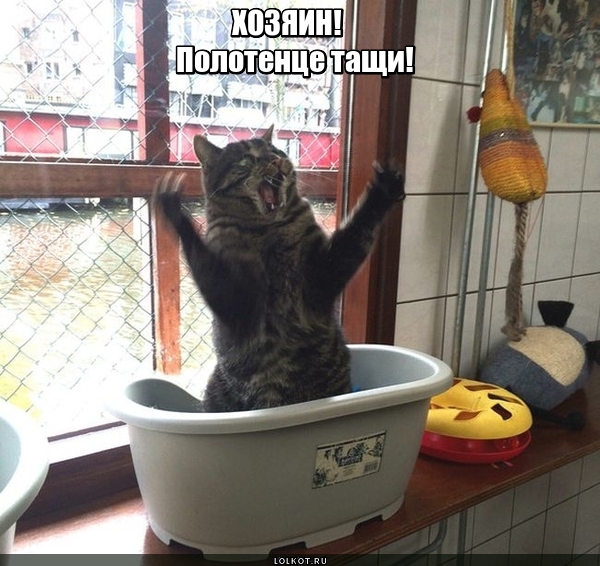 Где полотенце?